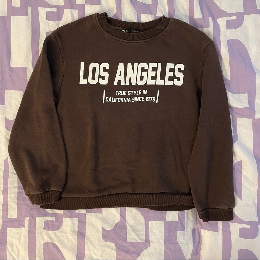 Zara Brown Sweatshirt